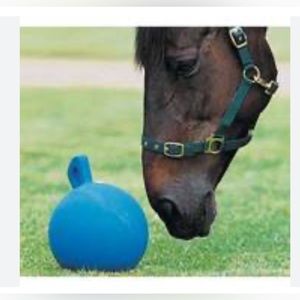 Horse Play Ball